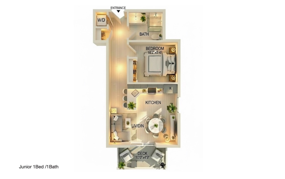 Junior 1BD/1BA - 1 bedroom floorplan layout with 1 bathroom and 500 square feet